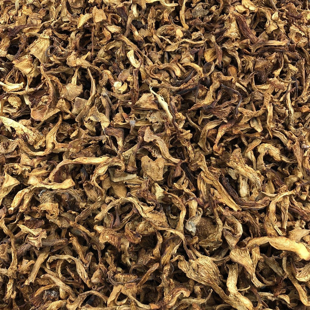 Seta Rebozuelos Ecológica Granel 0,5 Kg_2