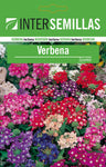 Pacote De Sementes De Verbena