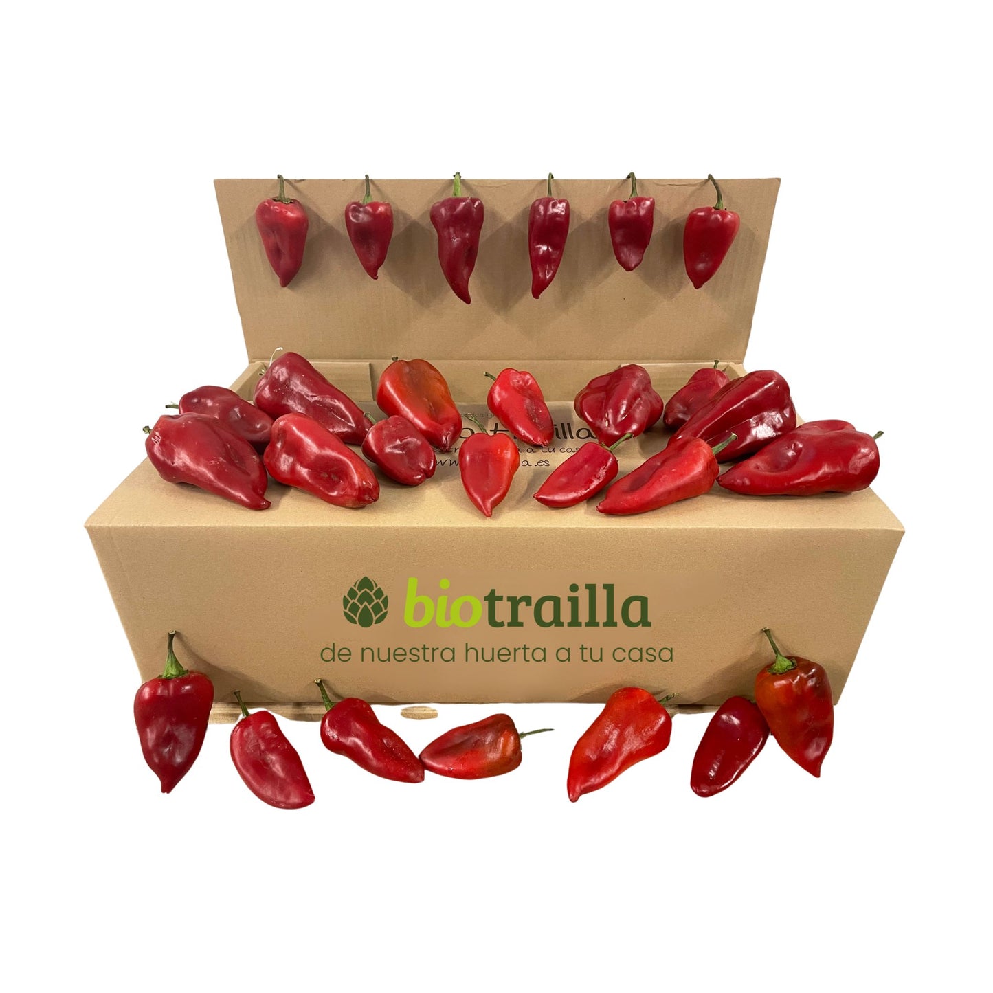 Caja  5kg de pimientos Piquillo BIO De La Huerta Navarra_0
