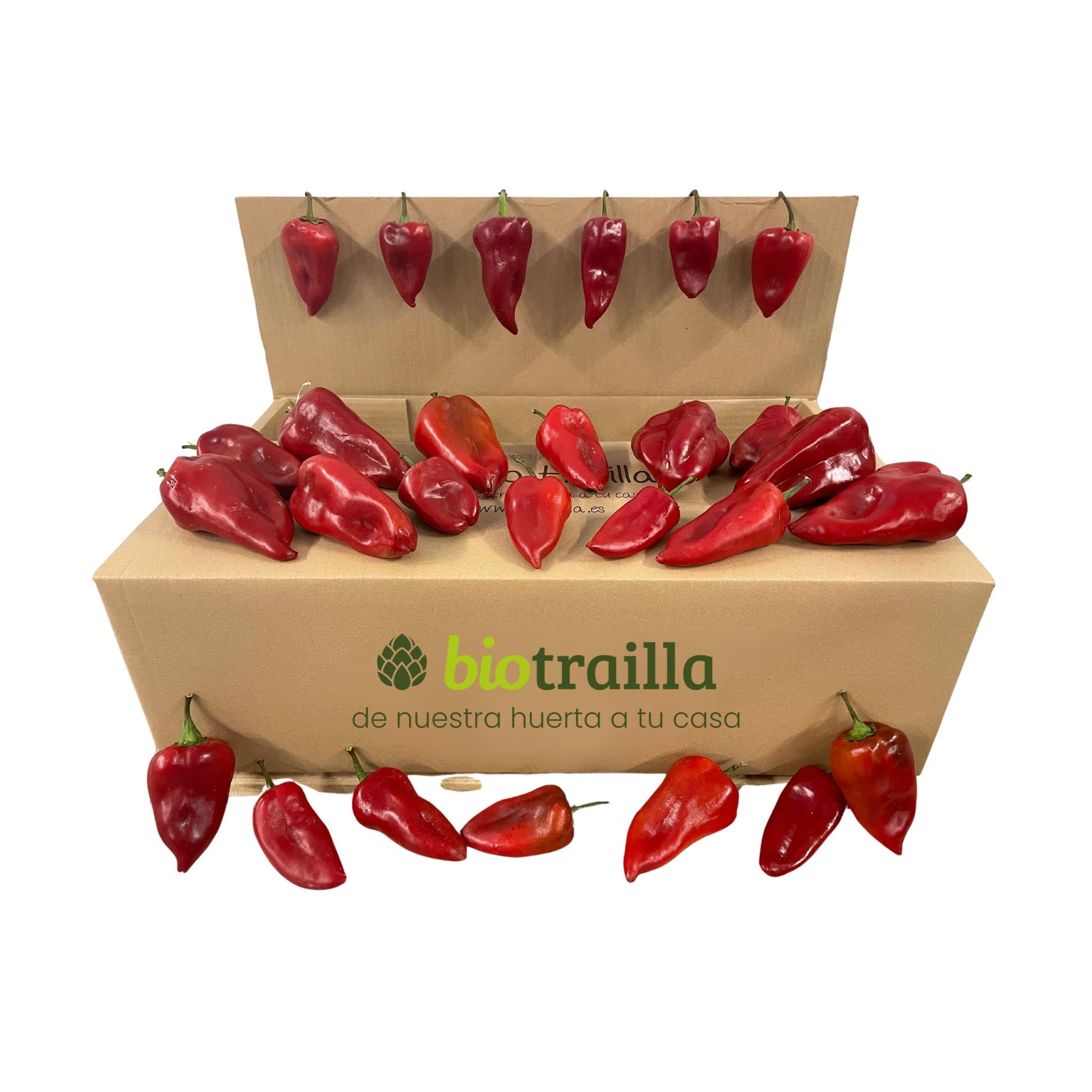 Caja  5kg de pimientos Piquillo BIO De La Huerta Navarra_0