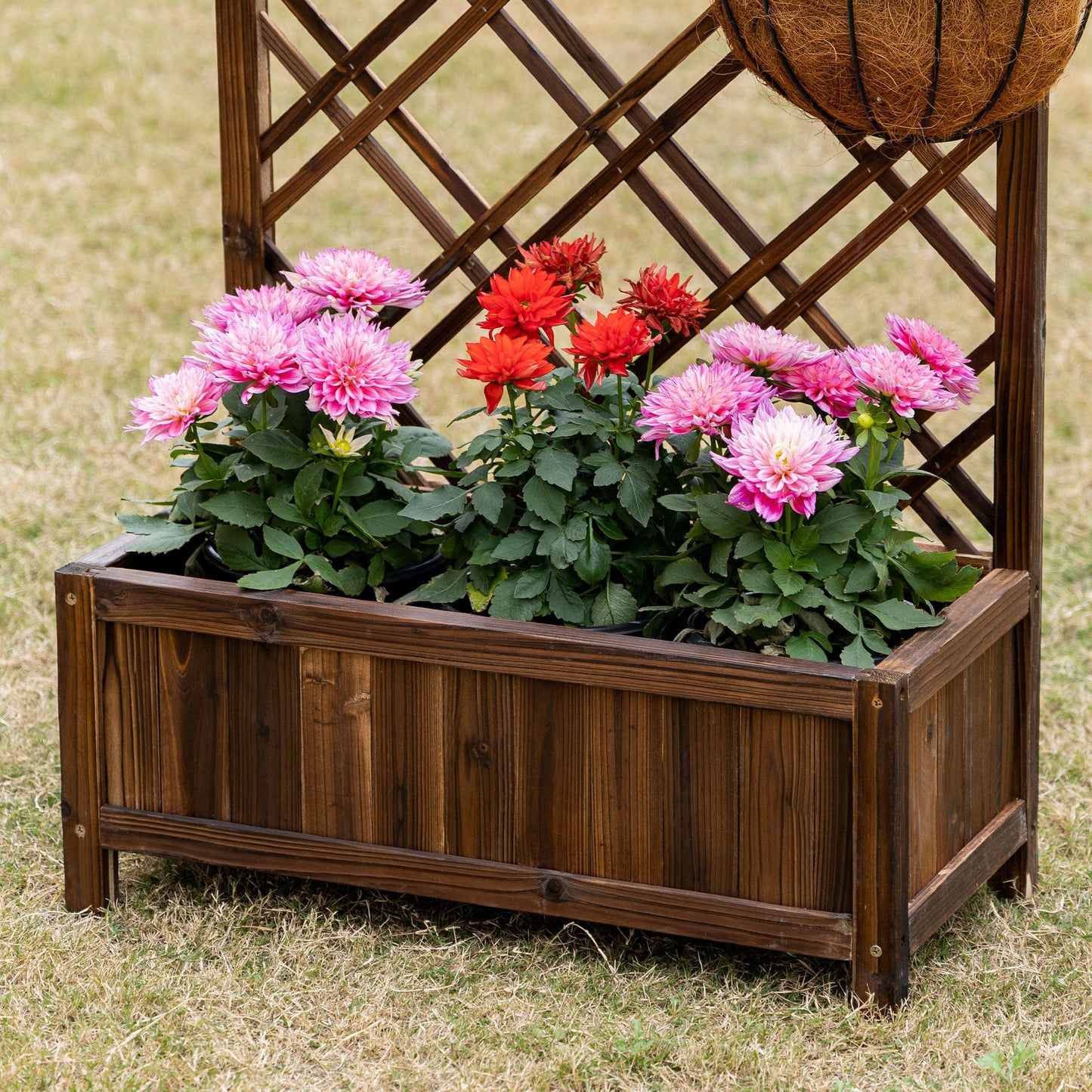 Outsunny Jardinera Con Enrejado Para Trepadora Cultivos Plantas 60x30x122,5 Cm_4