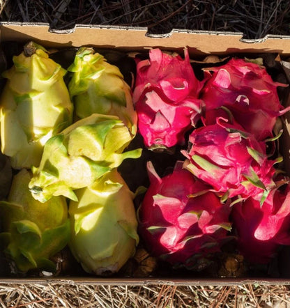 Pitahaya O Fruta Del Dragón - Caja De 2kg_5