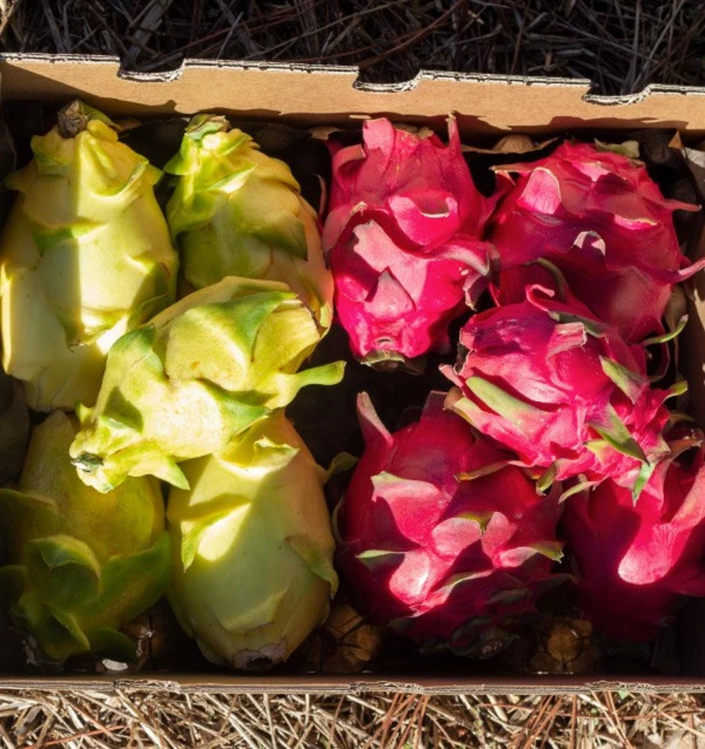 Pitahaya O Fruta Del Dragón - Caja De 4kg_5