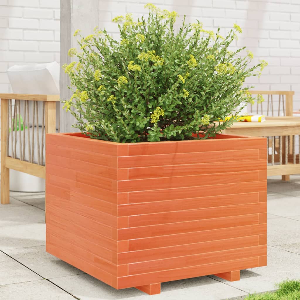 Jardinera Madera Maciza De Pino Marrón Cera 60x60x49,5 Cm_1
