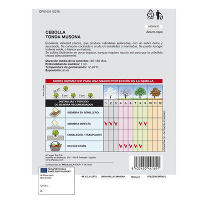Semillas Cebolla Blanca (4 Gramos) Semillas Verduras, Horticultura, Horticola, Semillas Huerto._1