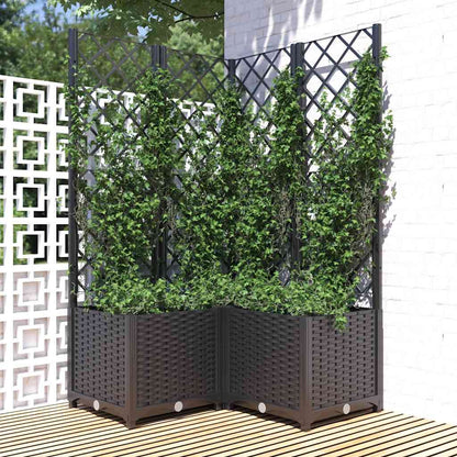 Jardín Negro 80 X 80 X 136 Cm_1
