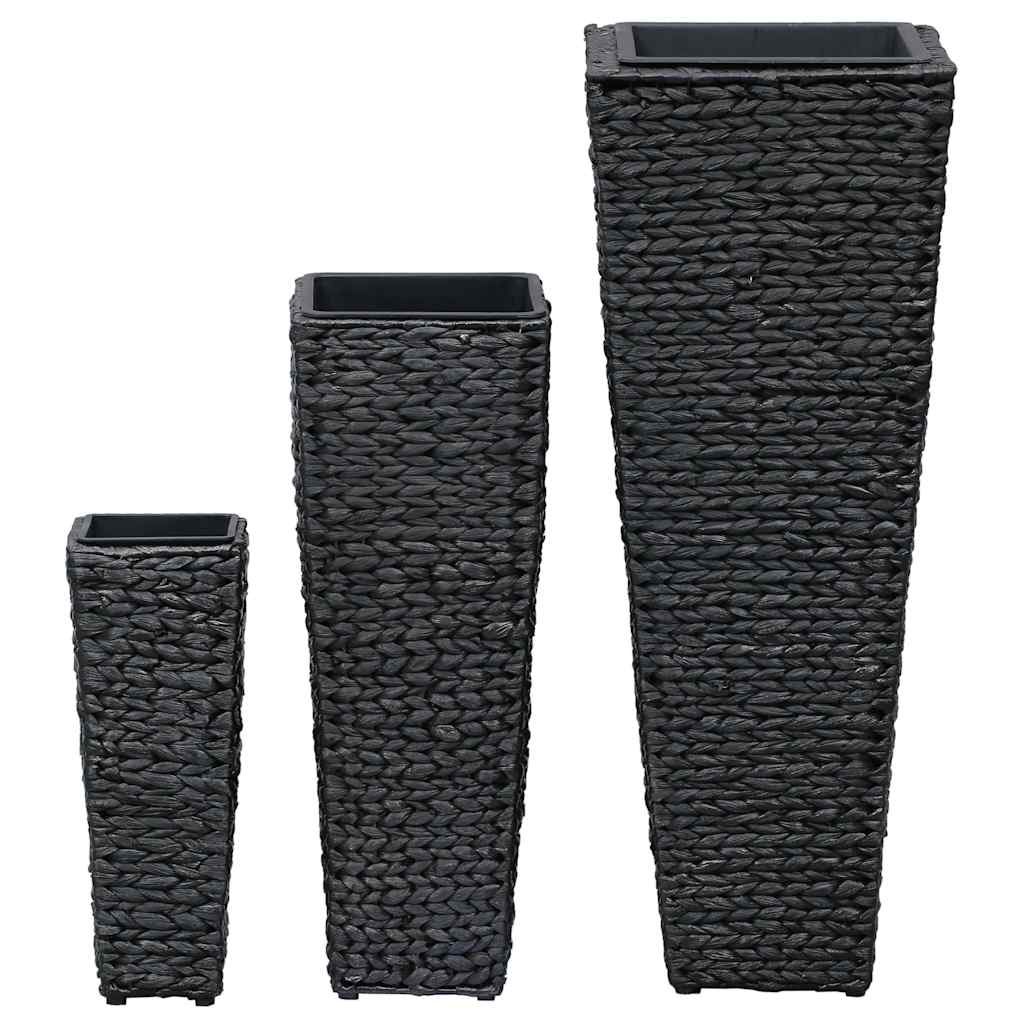 Conjunto De Arriates 3 Piezas Jacinto De Agua Negro_2