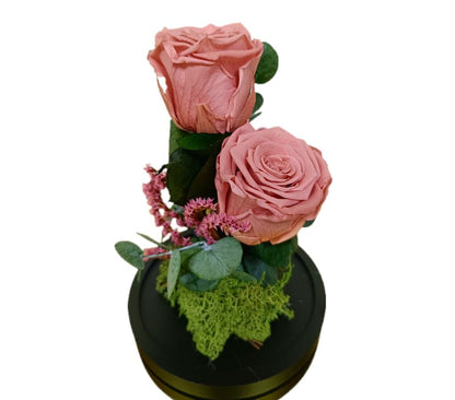 Cúpula 2 Rosas Rosa Vintaje 12x20cm_1