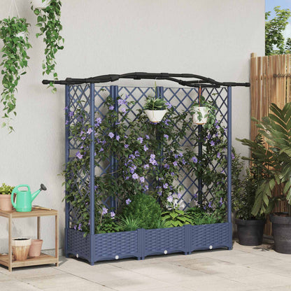 Cama Elevada Con Trellis Y Techo Gris 163 X 40 X 123 Cm Pp_1