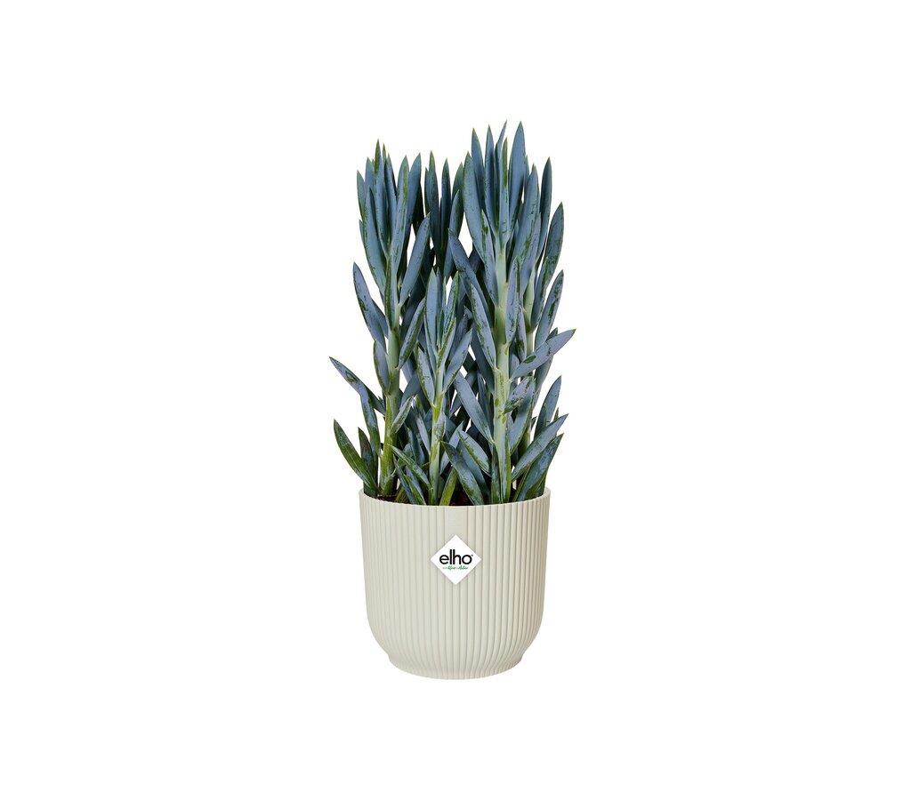 Macetero Vibes Con Ruedas Blanco 35cm_1