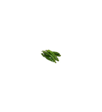 Plantón Pimiento Italiano Olaya F1 (10 Unidades)_2