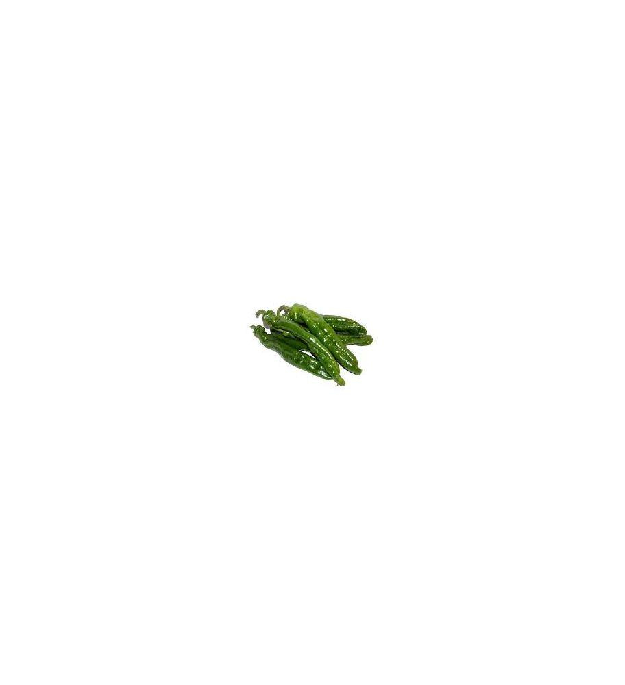 Plantón Pimiento Italiano (10 Unidades)_1