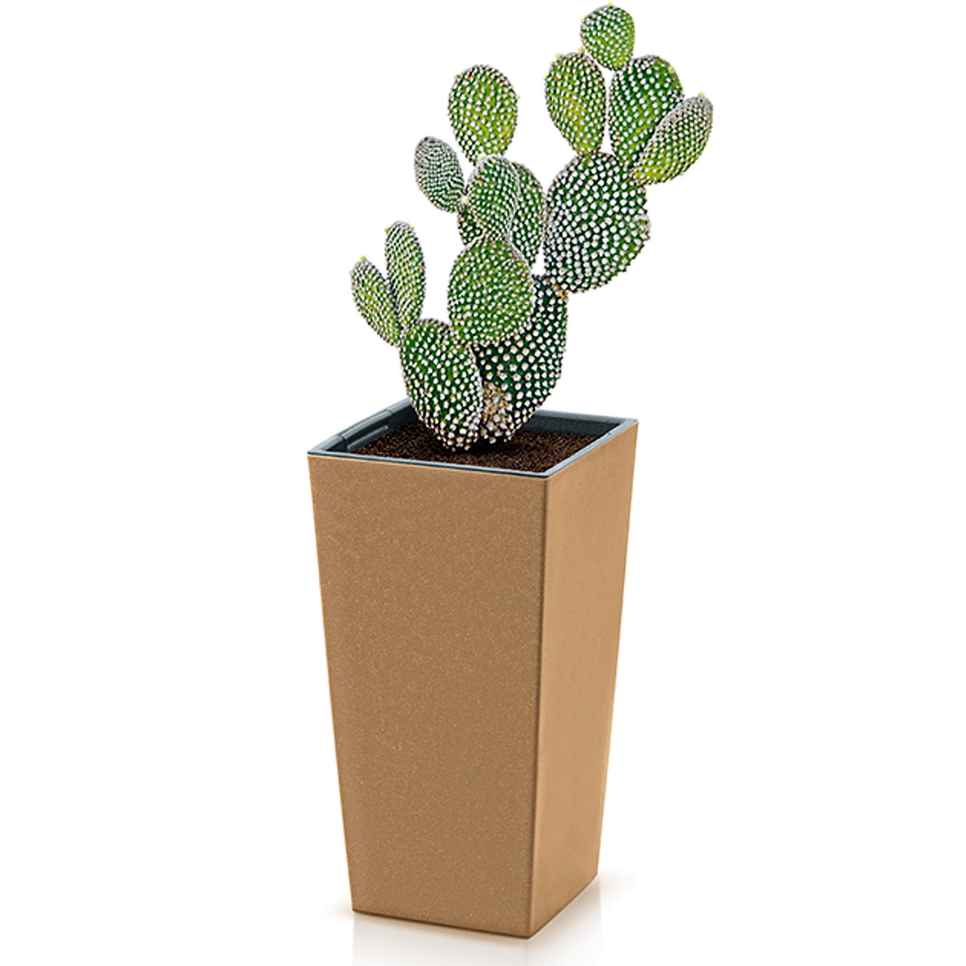 Macetero Cuadrado,con Depósito , De 19,5x19,5x37,5cm, Capacidad De 5 L.