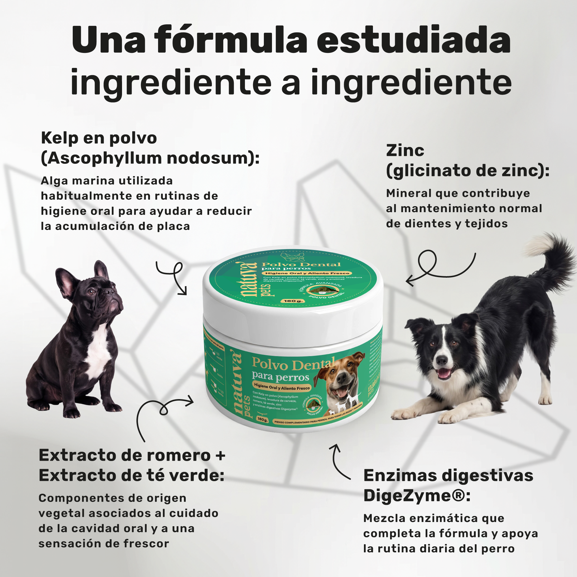 Pack 2x Polvo Dental Para Perros. Higiene Bucal. Suplementos Mascotas. 360 Gramos. Natuva Pets_2