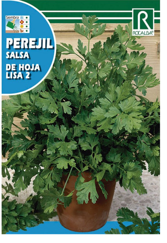 Semillas Perejil Hoja Lisa 10g_0
