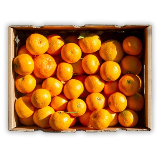 Caja de 9kg Mandarinas Del Campo Tropitop_0