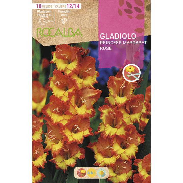 Bolbo Gladíolo Laranja com Centro Amarelo 10 bolbos