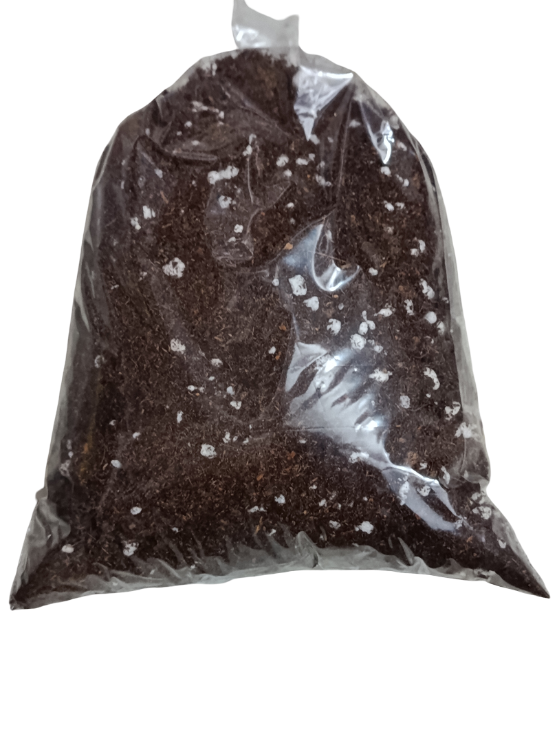 Sustrato Para Plantas Carnívoras 1l – Mezcla Especializada_0