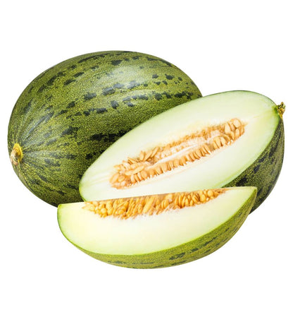 Plantón Melón Piel De Sapo (10 Unidades)_0