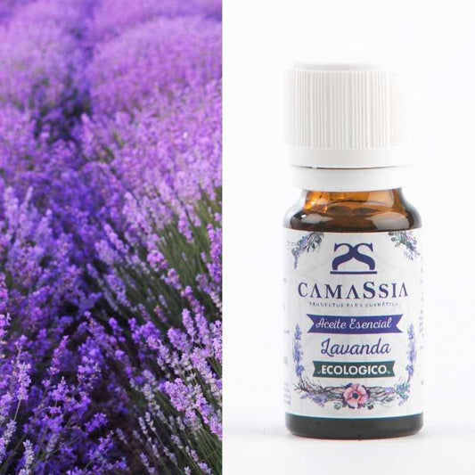 Óleo essencial de lavanda BIO Camassia