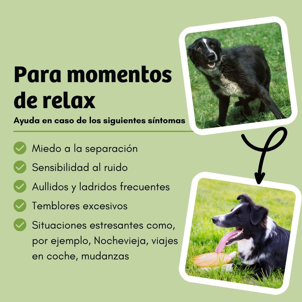 BugBell MagicRelax Pienso – Hipoalergénico, sin cereales, con proteína de insecto, cáñamo, hierbas y omega 3_3