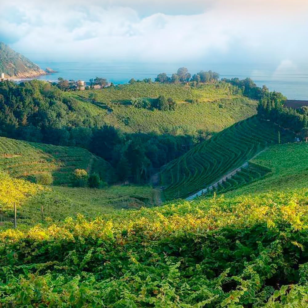 Lámpara Catalítica Mosaico Azul Océano + Aroma Provence Breeze 500 Ml - Elimina Malos Olores, Impurezas Y Perfuma_3