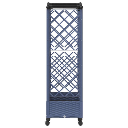 Cama Elevada Con Trellis Y Techo Gris 163 X 40 X 129 Cm Pp_3