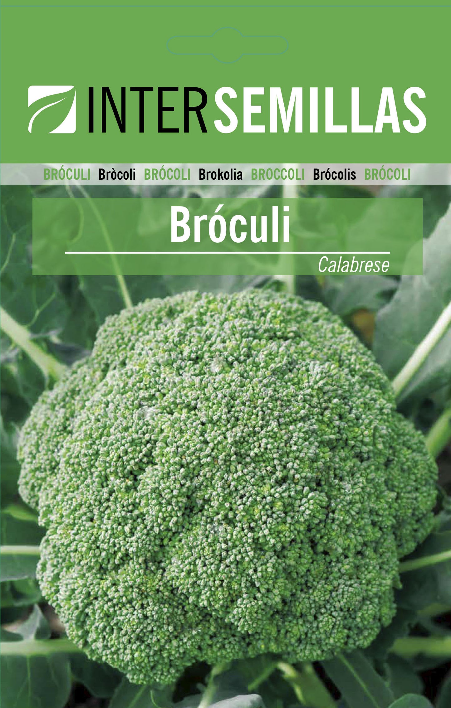 Brocoli Calabrese Sobre De Semillas Horticolas_0