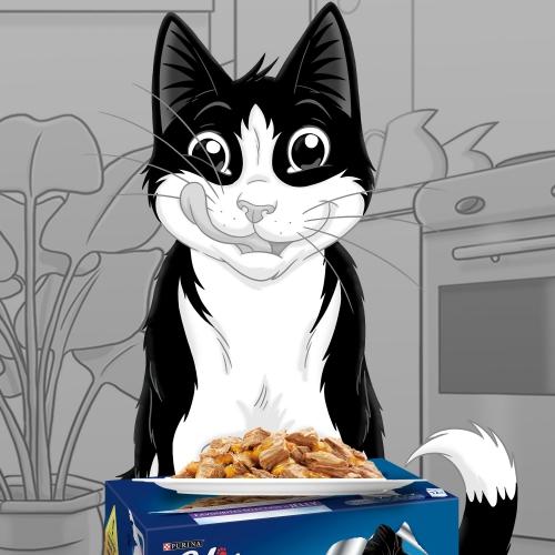 FELIX Duo Festa de Sabores em Gelatina 12 x 85 g