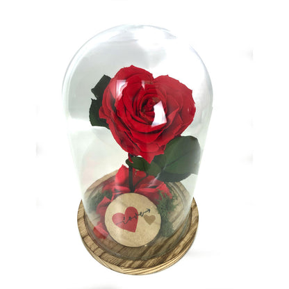 Mundo Eterno Rosa En Cúpula Corazón Rojo 12x20cm_0
