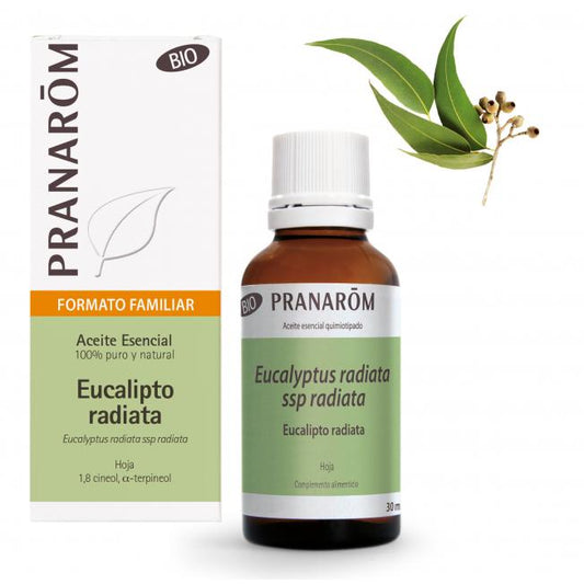 Óleo essencial de folha de Eucalipto Radiata Bio Pranarom 30 ml