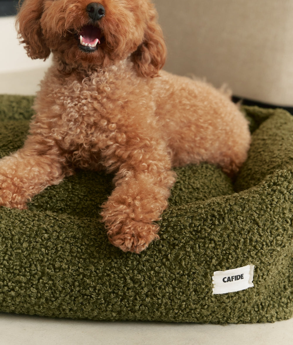 Cafide Cama De Material Reciclado Para Perro Con Tejido Estilo Borreguito Verde. Modelo Snozy._2