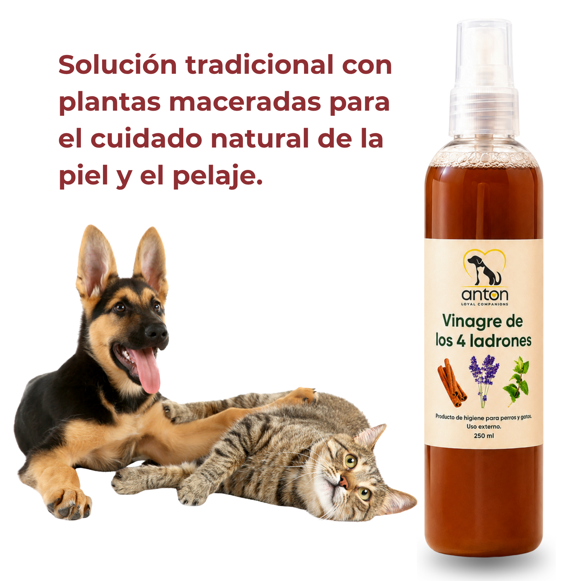 Vinagre de los 4 Ladrones para Perros y Gatos – 250ml_1