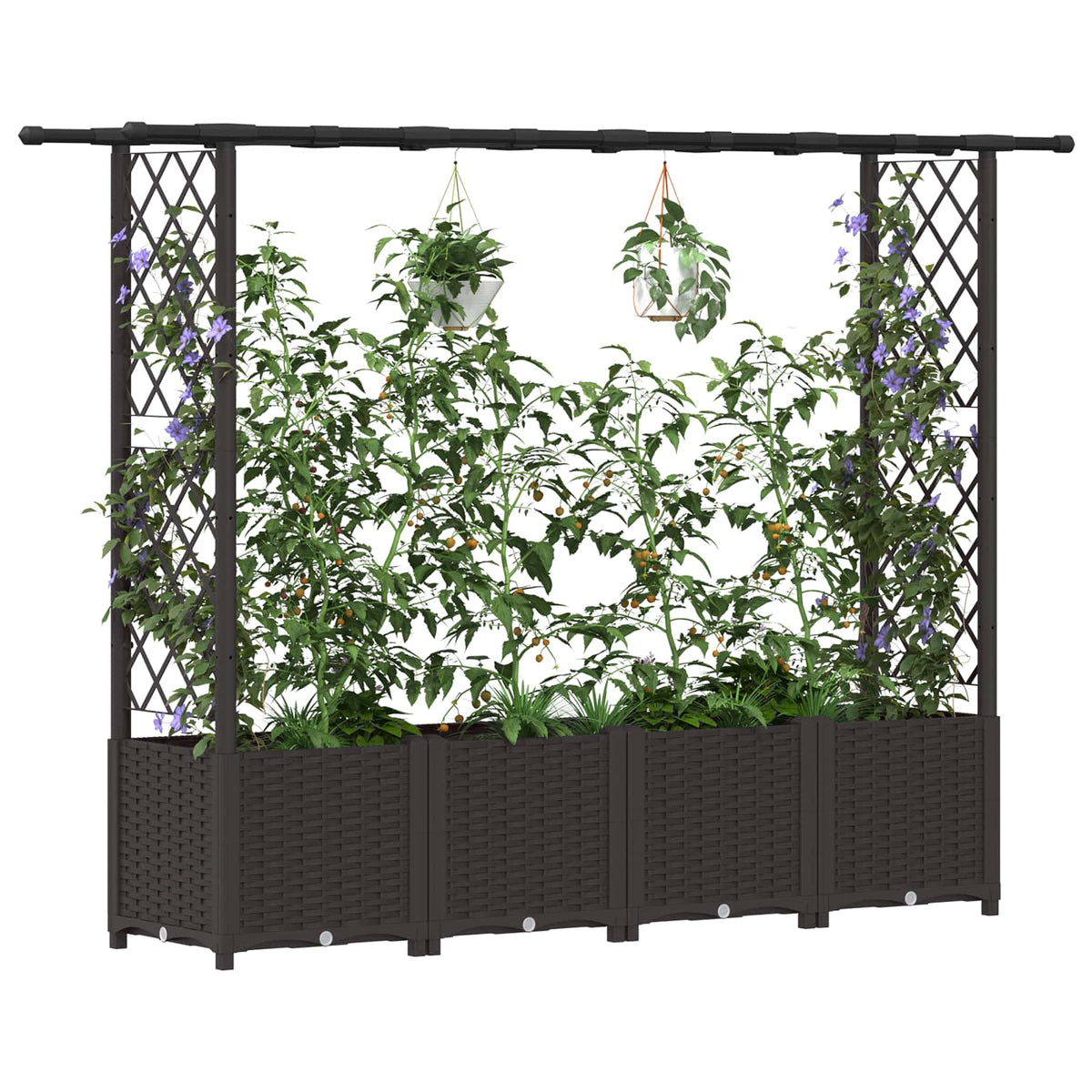 Cama Elevada Con Trellis Y Techo Marrón 203 X 40 X 136 Cm Pp_2