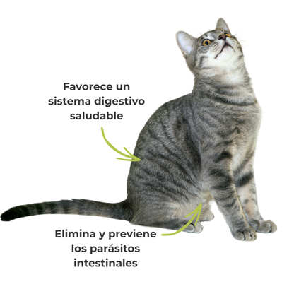 Suplemento natural para perros y gatos – Protección interna frente a parásitos intestinales ECO 100 g_3