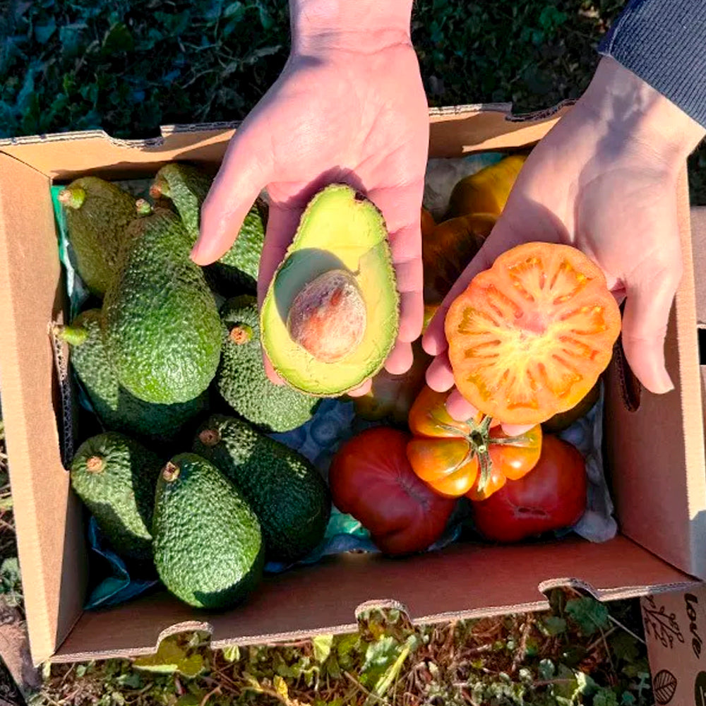 Caja 4kg Pack Aguacates Y tomates Raf Del Campo Tropitop_1