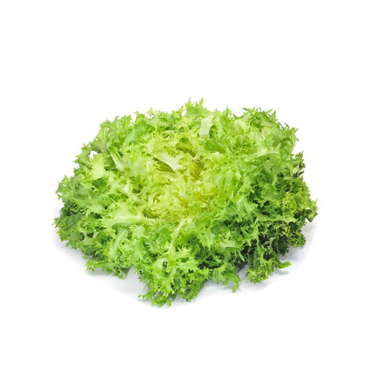 Muda de alface escarola em vaso de 11 cm