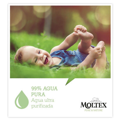 Pack de 6 toalhetes Moltex Pure &amp; Nature 60 unidades