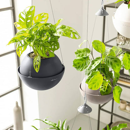Lechuza Jardinera Colgante Bola Color 23 All-in-one Color Marrón Arena_5
