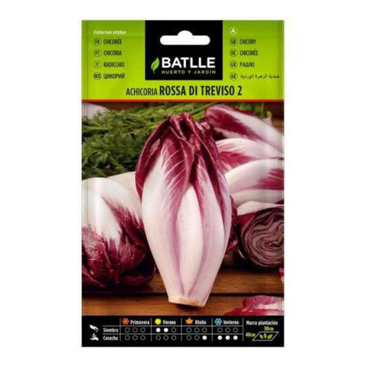 Sementes de Chicória Rossa di Treviso Batlle