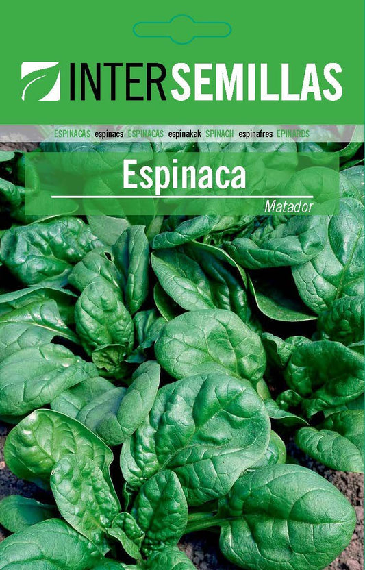 Espinaca Matador Sobre De Semillas Clasico Sellado_0