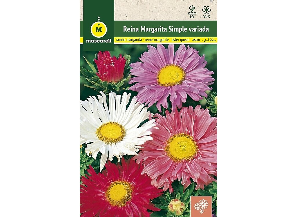 Semillas Reina Margarita Simple Variada_0