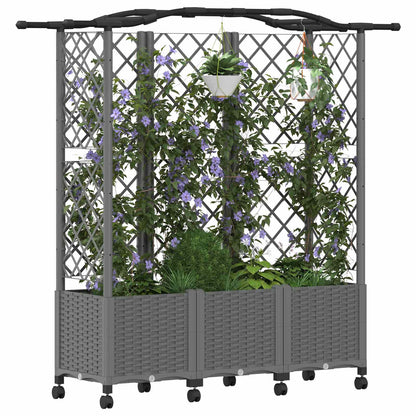 Cama Elevada Con Trellis Y Techo Gris Claro 163 X 40 X 144 Cm_2