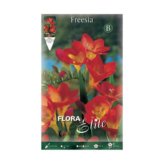 Bolbos Elite Red Single Freesia 10 unidades