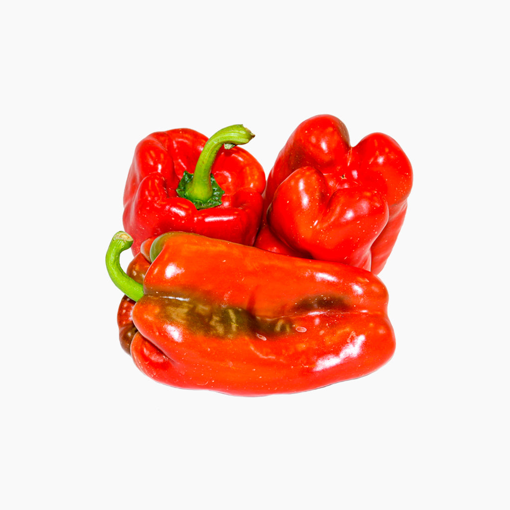 Plantón Pimiento Rojo 2 Unidades - Plantabo_1