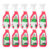 Embalagem de 10x Desengordurante Frosch Toranja