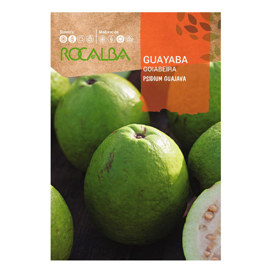 Sementes de Goiaba, Rocalba