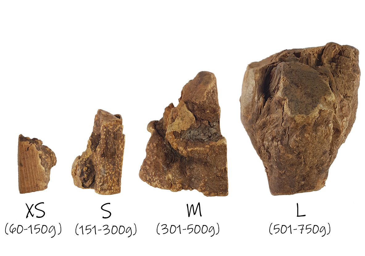 Bimordiscos Raíz De Brezo Para Perros. S_3