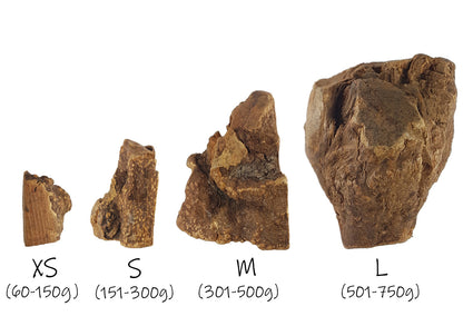 Bimordiscos Raíz De Brezo Para Perros. S_3