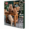 Calendario de Adviento para gatos Trixie 30x34